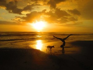 Dominical Waverider Surf Camp and Retreat 1