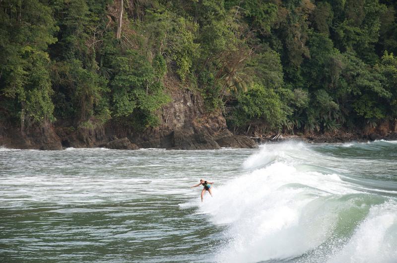 Green Iguana Surf Camp