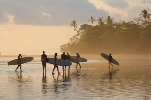 Peaks'n Swells Surf Camp 1