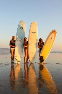 Shaka Beach Retreat Resort and Surf Camp