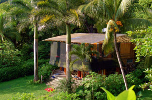 Zopilote Surf Camp 1