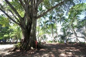 El Higo Surf Spot and Beach