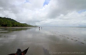 Playa Grande of Montezuma