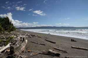 The beach at Playa Zancudo