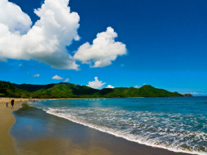 Southern Pacific and Osa Peninsula Surf Guide