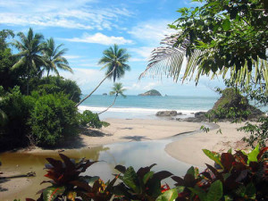 Tamarindo Surf Spots Guide