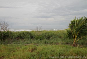 Buda - Turtle Farms Surf Spot