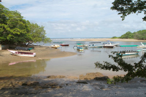 El Estero Surf Spot Tamarindo