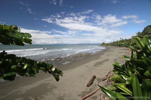Playa Cocal Amarillas