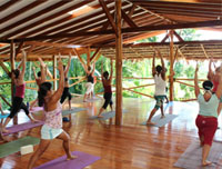 Yoga Farm