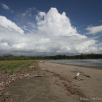 Palo Seco Rivermouth Surf Spot
