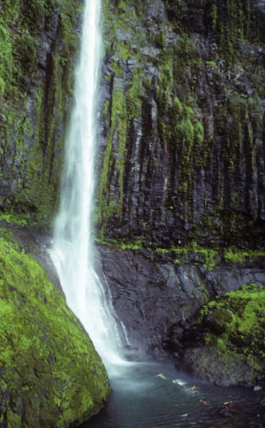 Cocos Island Waterfall - Photo courtesy of Undersea Hunter Group