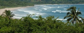 Nosara Area Regional Surf Guide