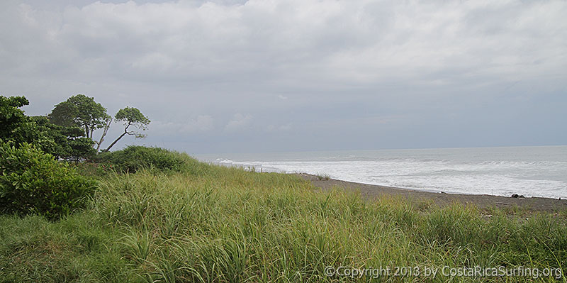 "The Tree" Surf Spot in South Playa Hermosa