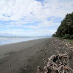 Playa Zancudo Surf Spot