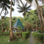 Palms at Rancho Burica