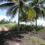 Beach Road at Palo Seco