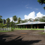 Beach Bar at Palo Seco