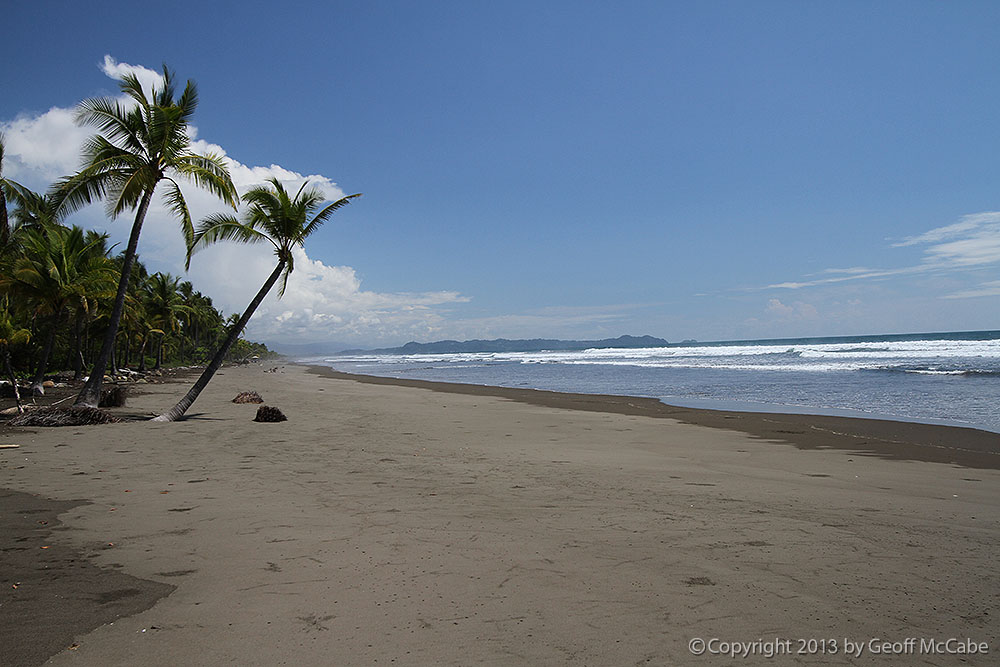Whiter Sand to the East